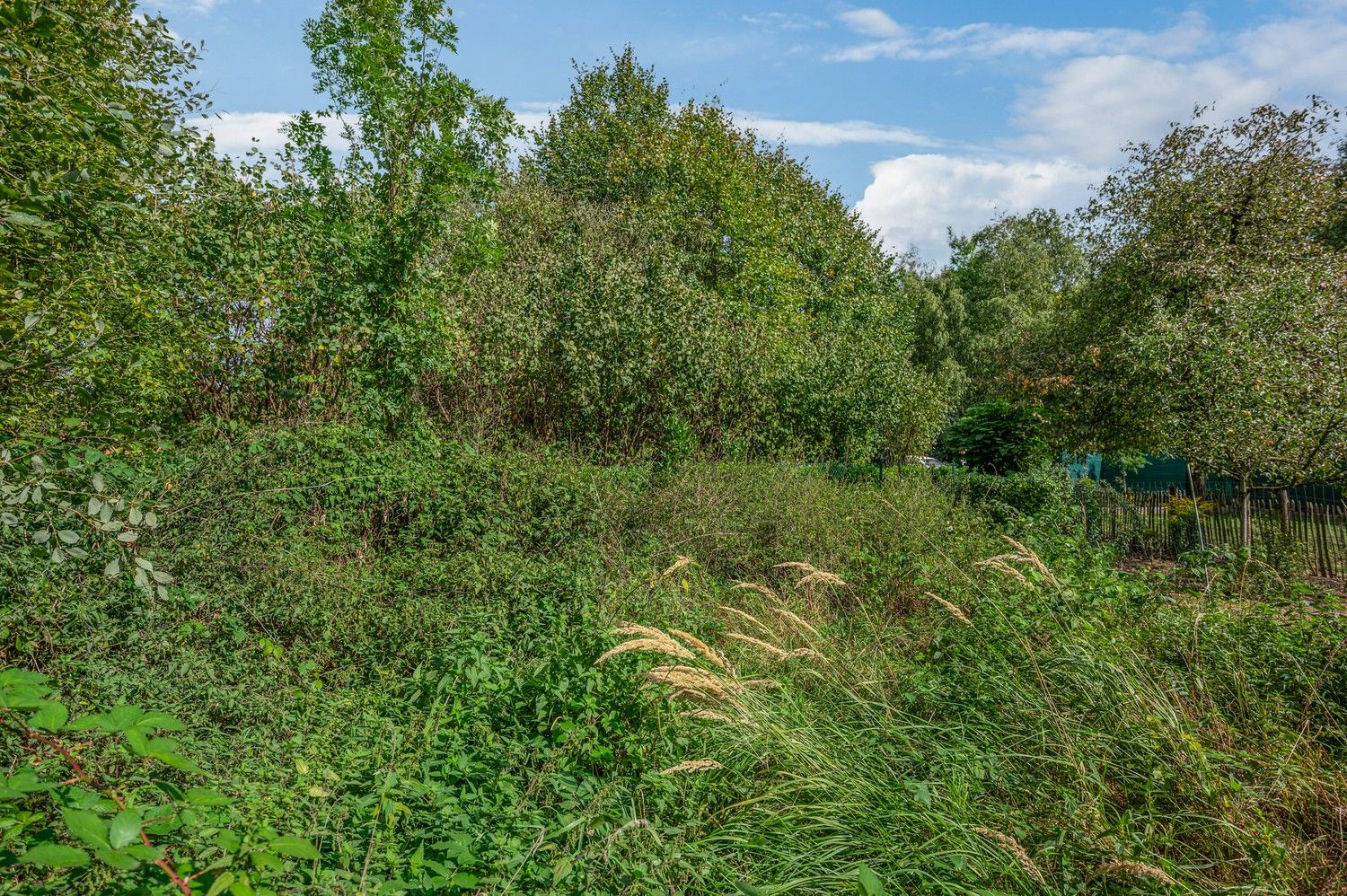 Te renoveren woning met bijzonder veel potentieel op toplocatie te Lint foto 21