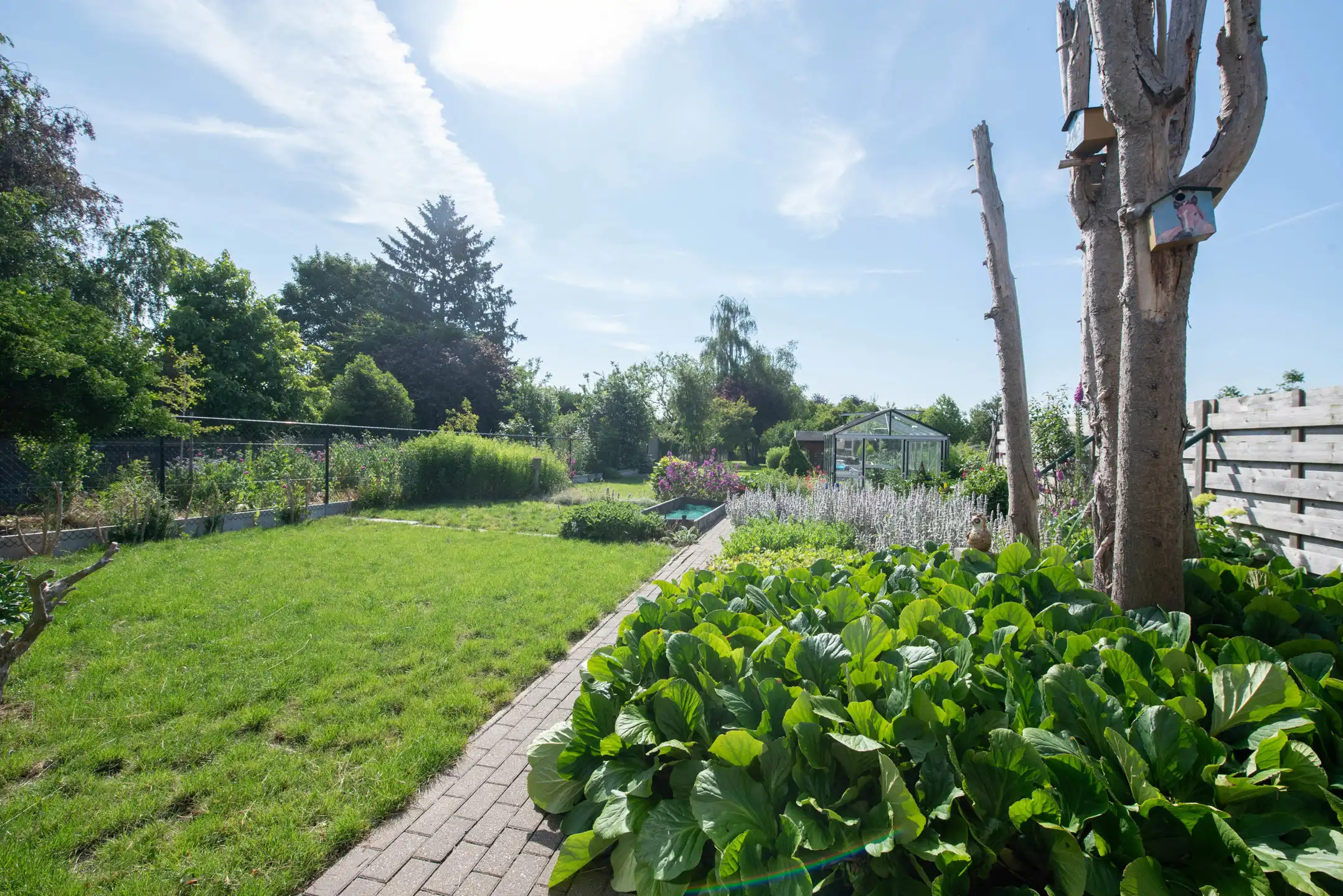 Karaktervolle woning met prachtige koer te Zussen foto 9