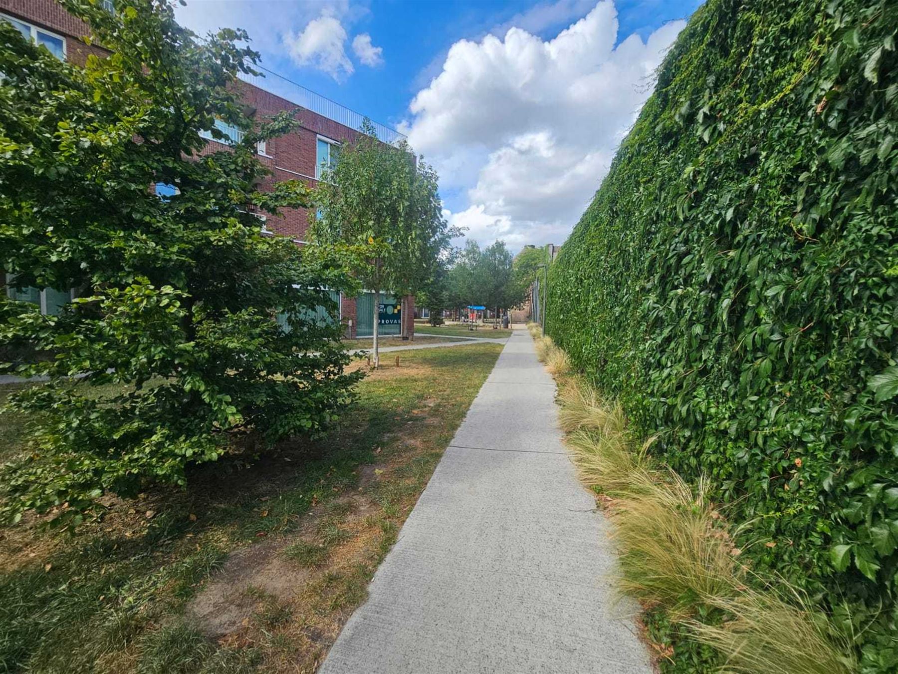 Appartement in het Groen Kwartier met terras. foto 14
