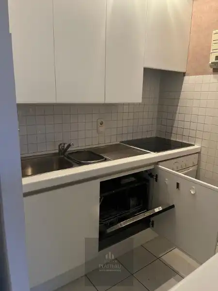 Zongericht appartement met één slaapkamer en slaaphoek. foto 14