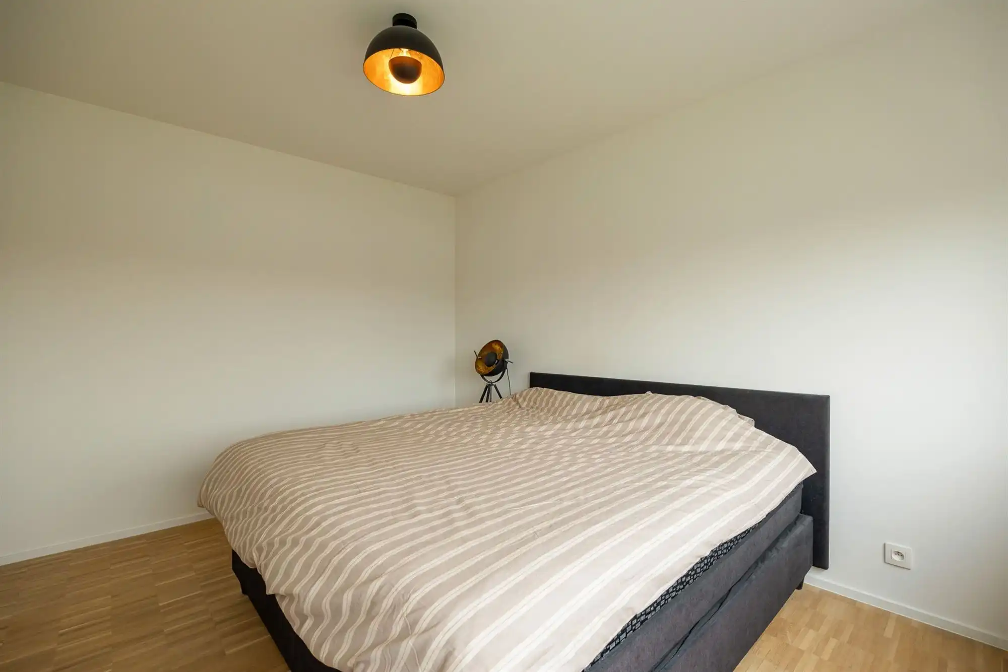 Luxe penthouse met 3 slaapkamers met 50m² terras in Ranst foto 14