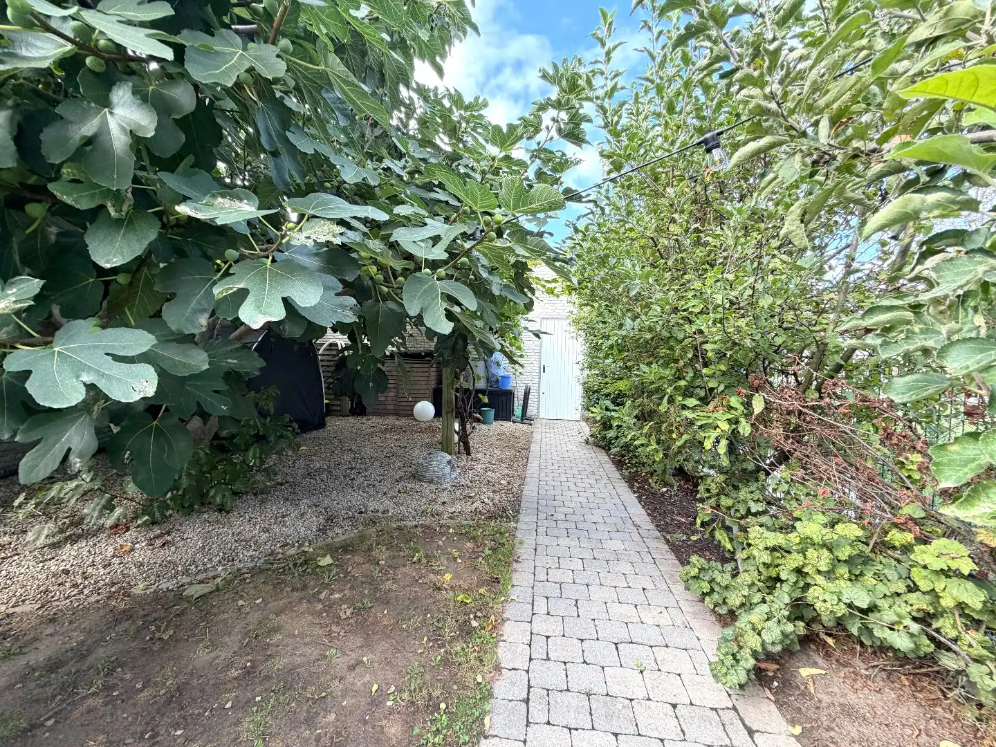 Instapklare woning met tuin te Stasegem te huur. foto 17