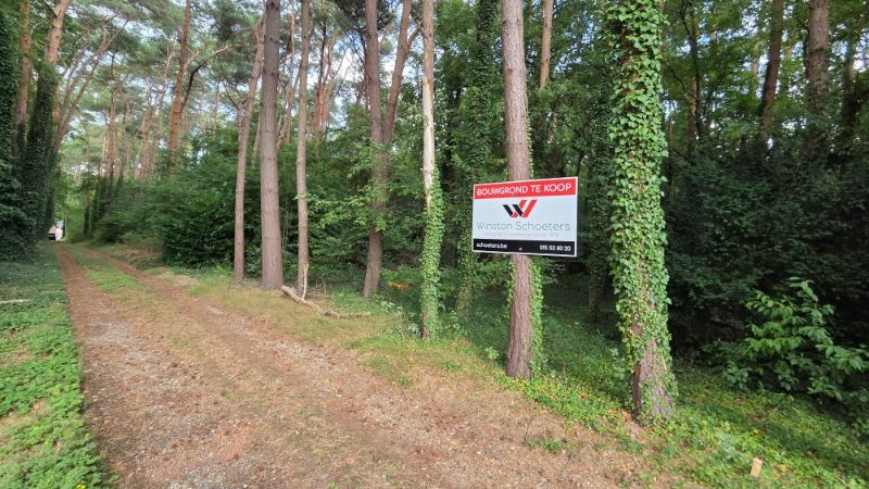 Residentieel gelegen bouwgrond van 31 are met 37 are bosgrond foto 2