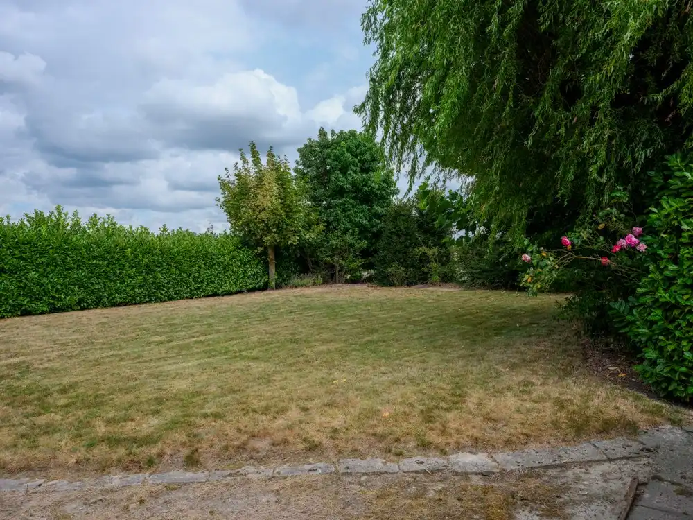 Landelijke woning/bouwgrond met verzichten - Oekene foto 4