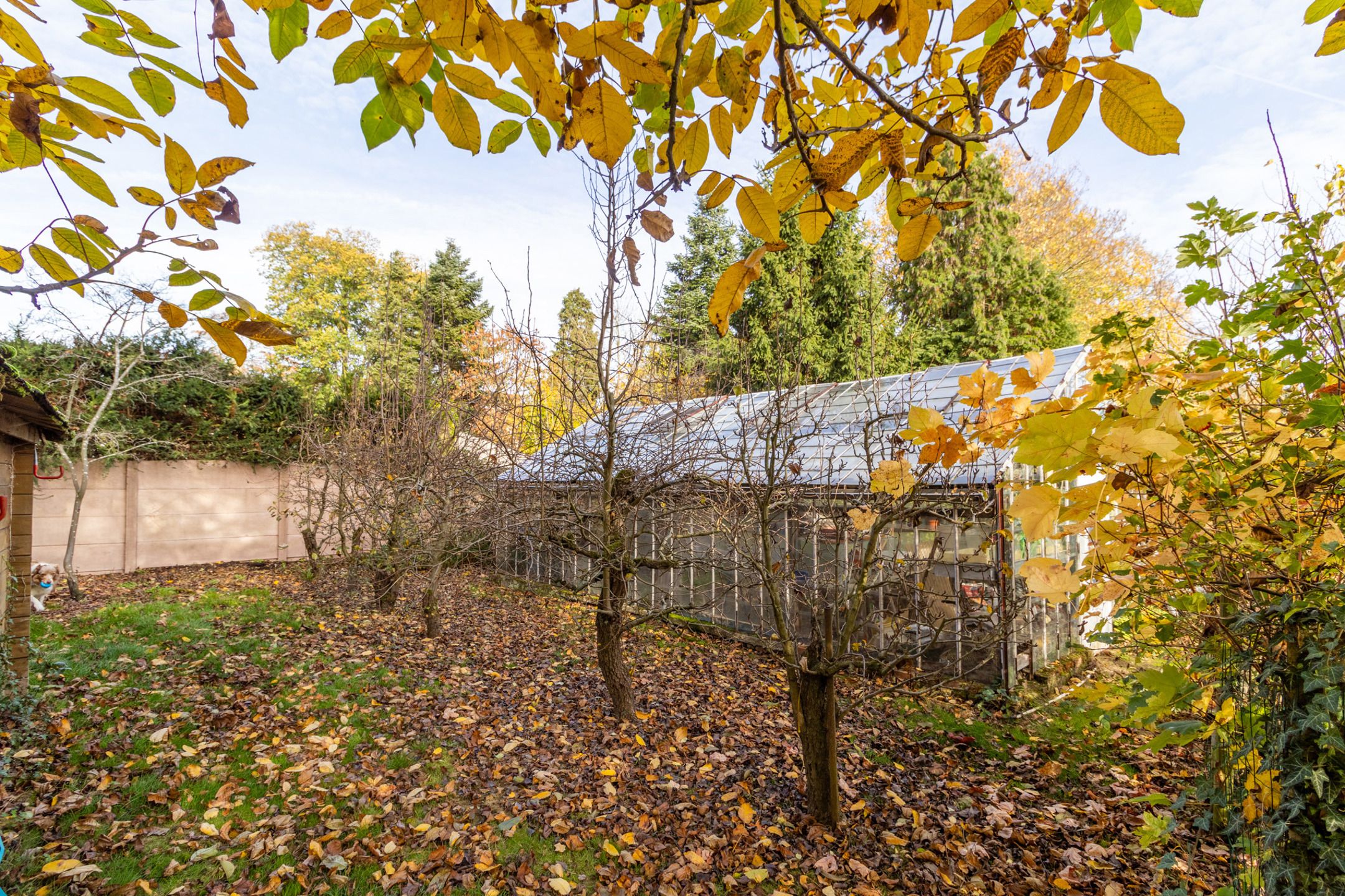 Huis te koop foto 29