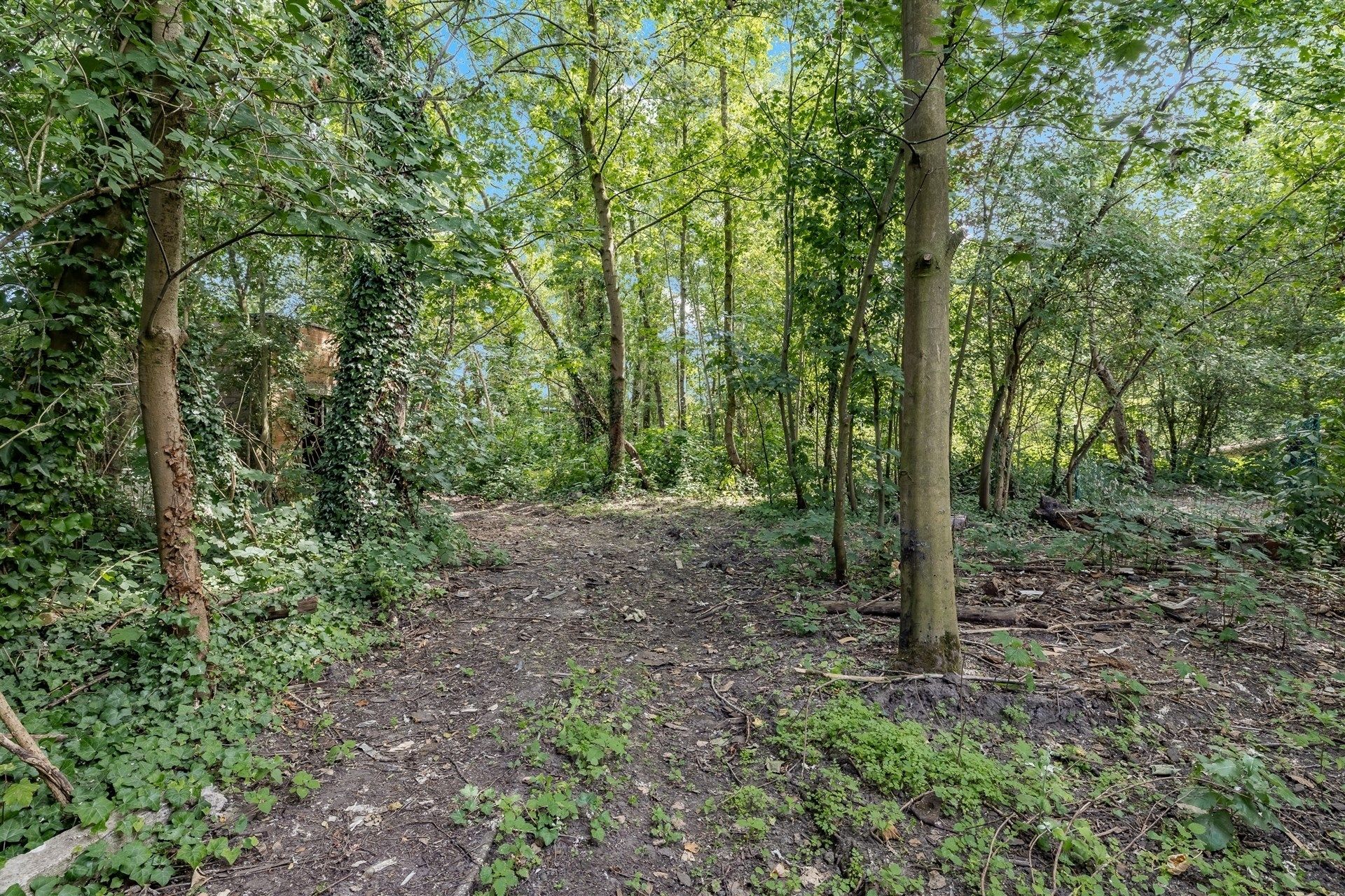 Halfopen renovatiewoning met  verdere mogelijkheden in centrum Wetteren foto 28