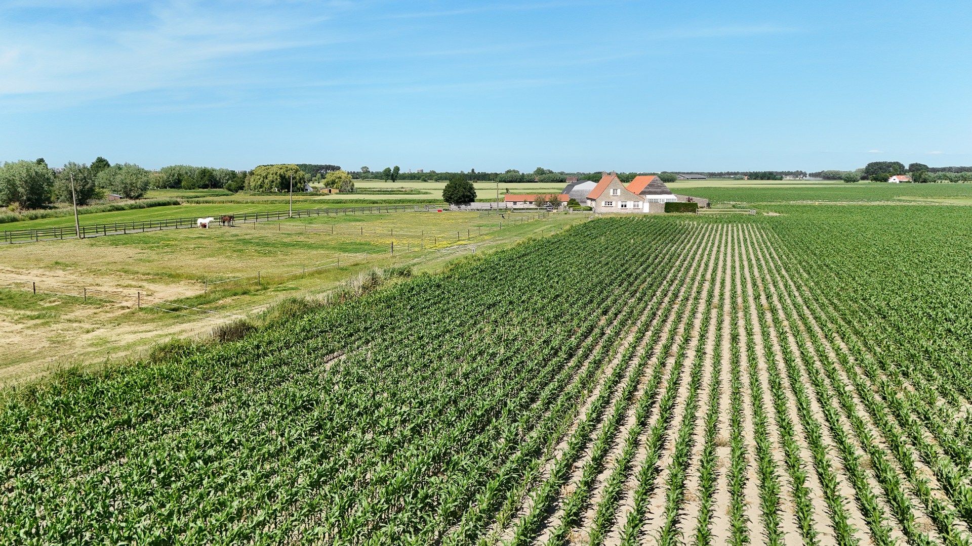 Unieke eigendom voor paardenliefhebbers te Knokke-Heist foto 2