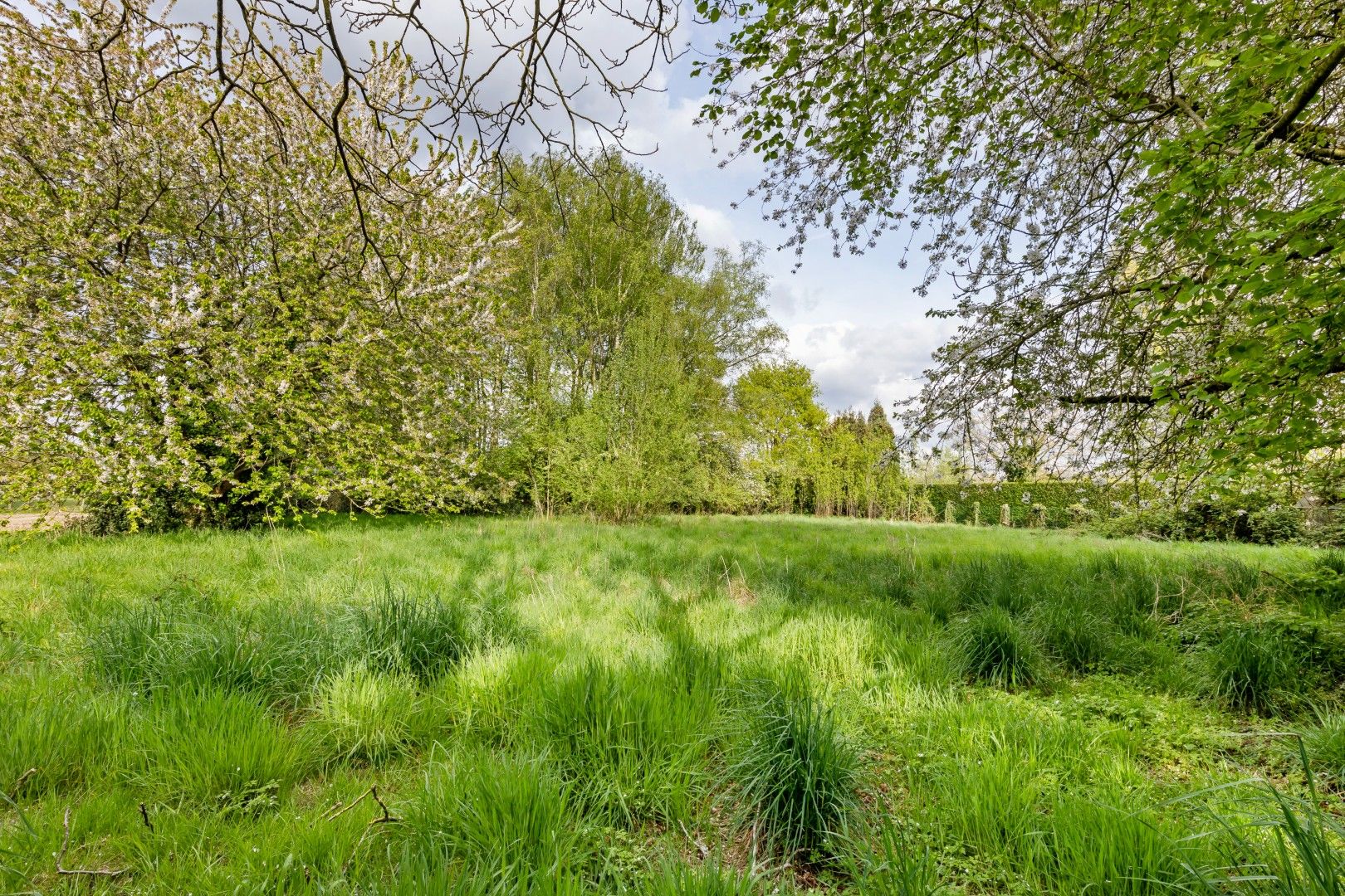 BUNGALOW MET POTENTIEEL OP TOPLOCATIE 23a97ca foto 10