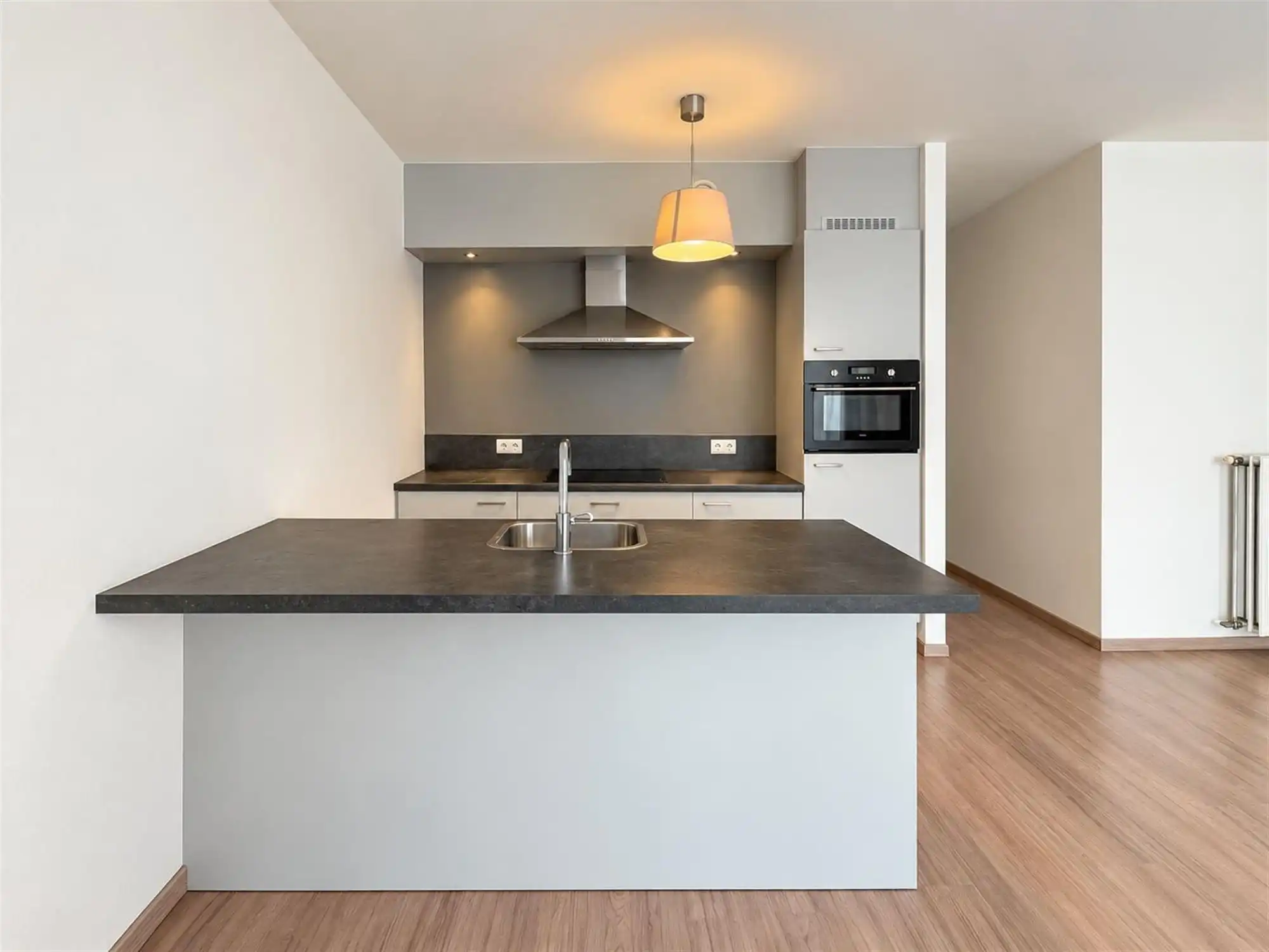 Prachtig appartement met twee slaapkamers en terras te huur in centrum Wilrijk foto 5