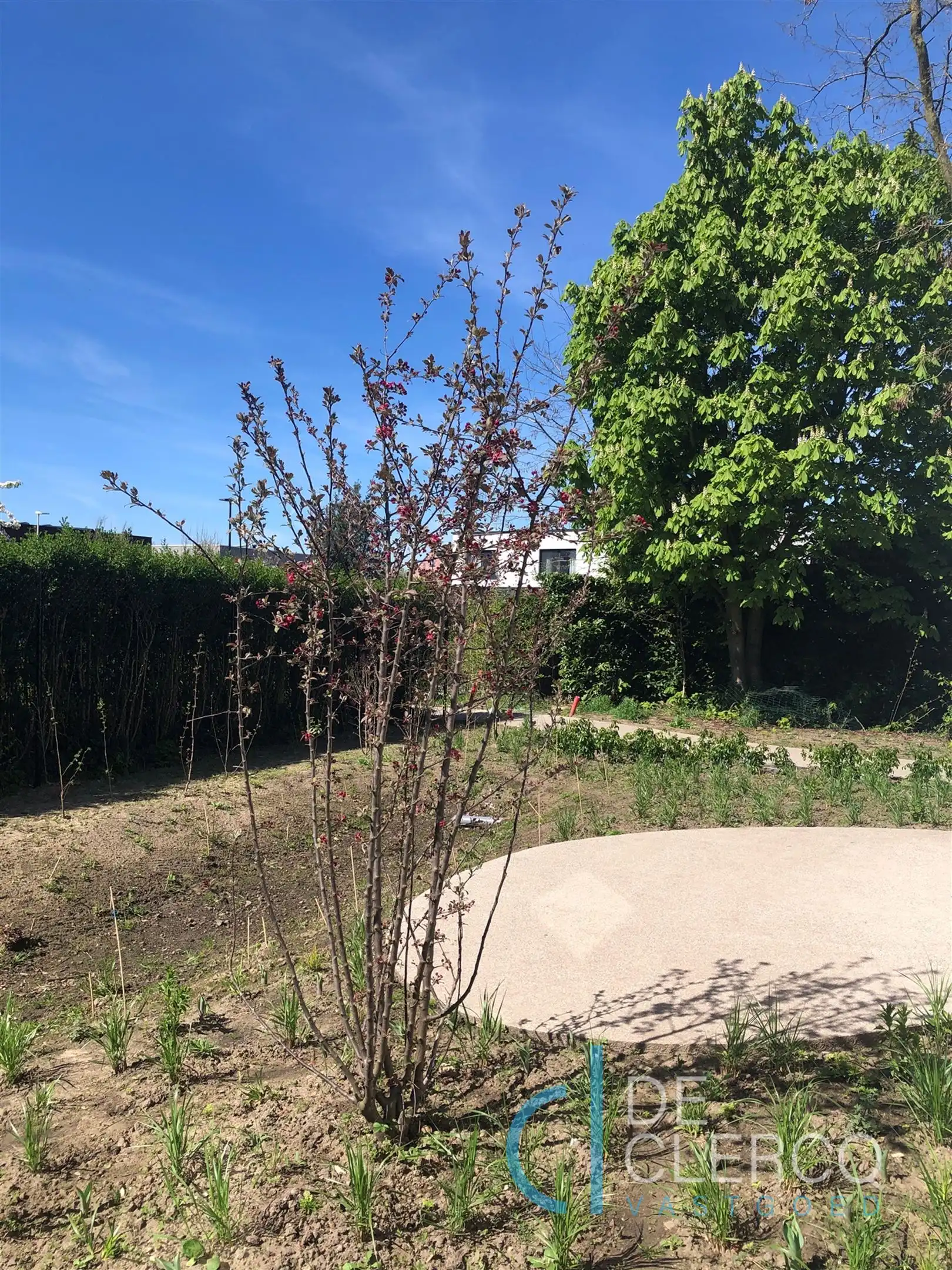 Gloednieuw gelijkvloers appartement in hartje Lochristi! foto 17