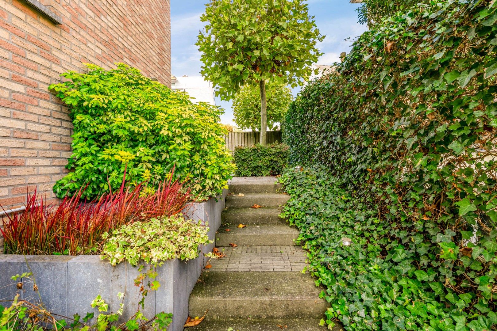 Ruime energiezuinige gezinswoning (EPC A) aan het stadscentrum foto 27