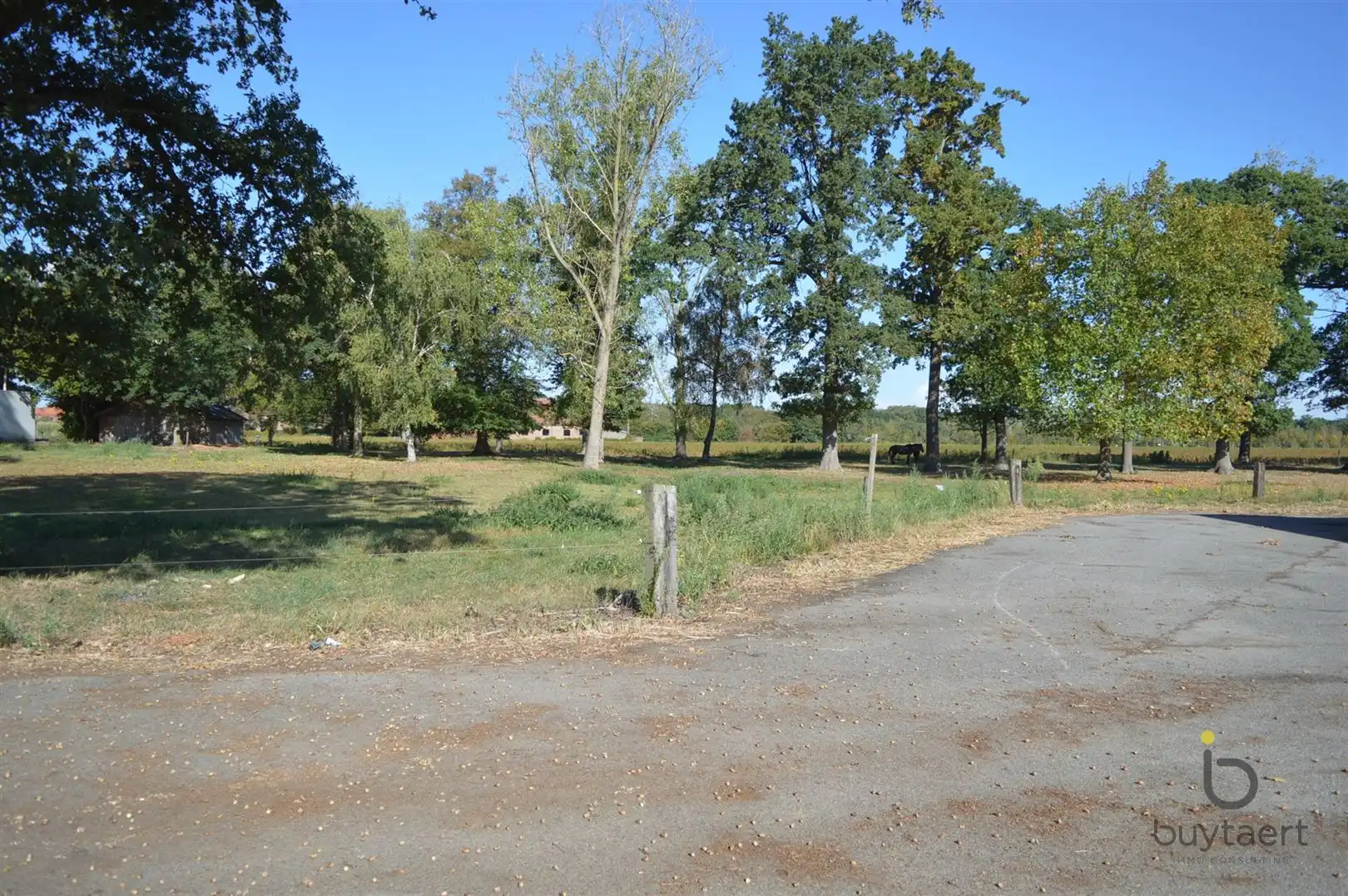 Loods te Kalmthout! foto 6