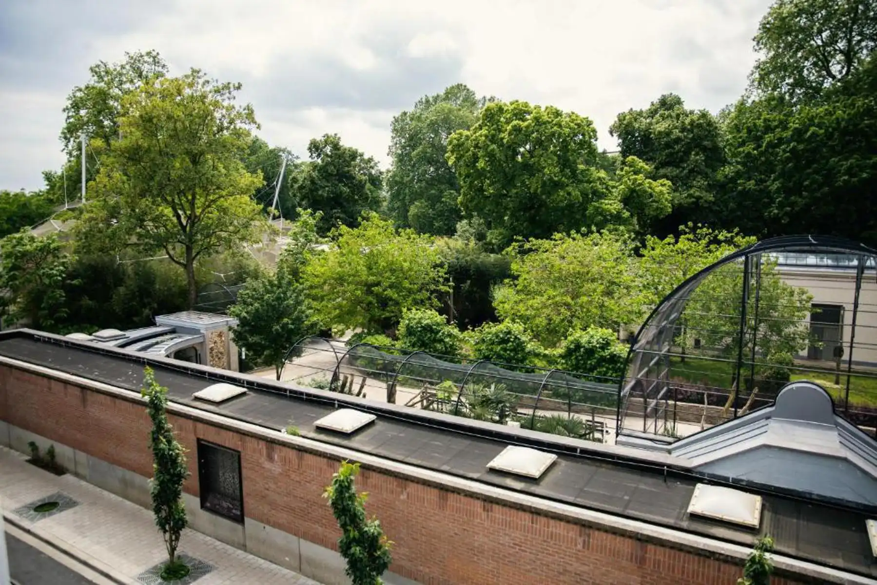  2 SLK-duplexappartement met uitzicht op de Antwerpse Zoo!  foto 17