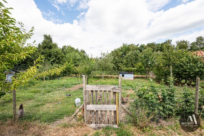 Recente energiezuinige woning met grote tuin foto 21