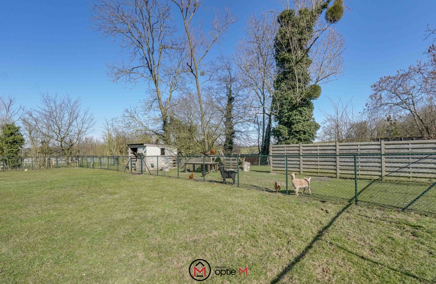 Charmante woning met 4 slaapkamers + weide foto 23