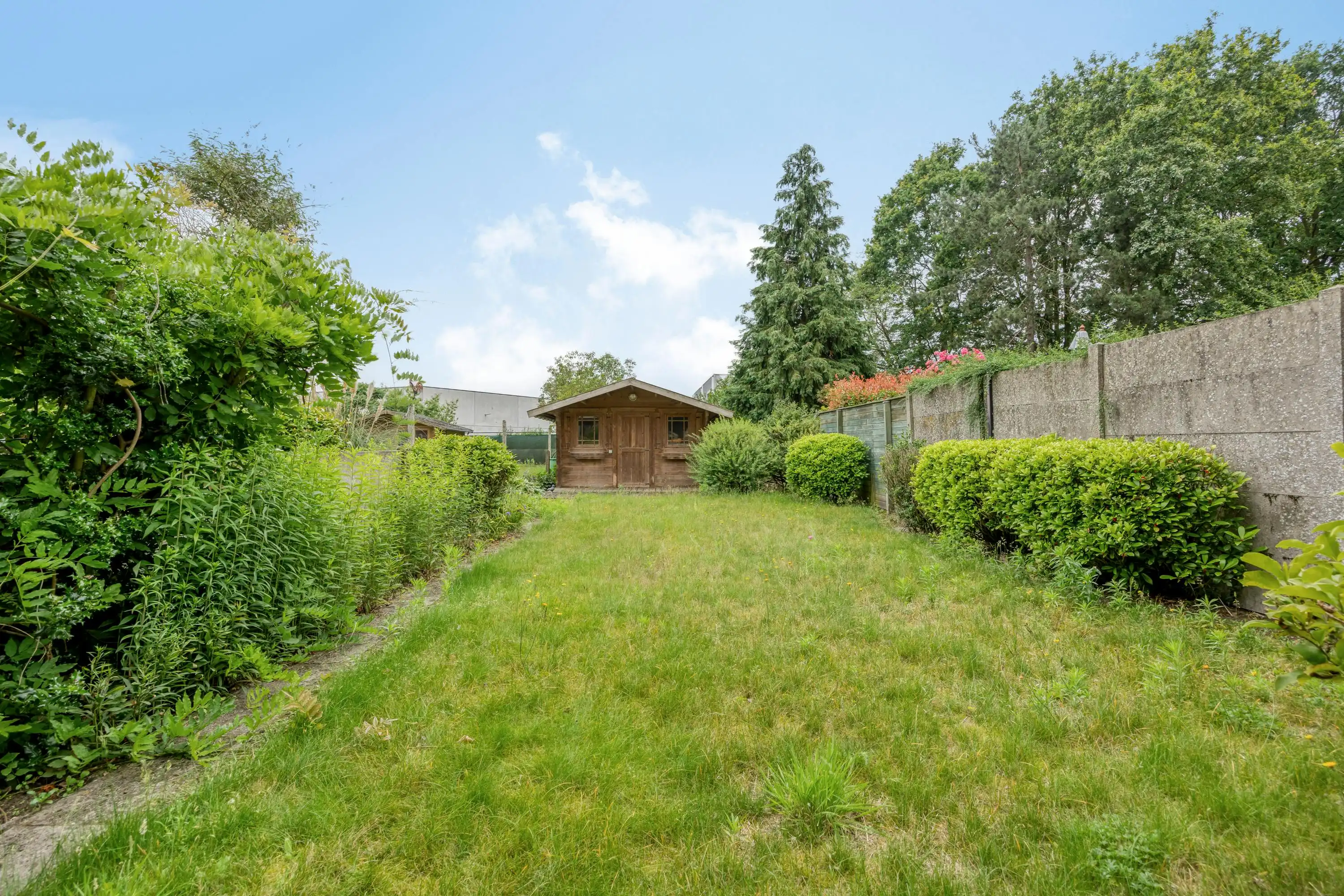 Twee te renoveren woningen en grond te koop in Wuustwezel! foto 7
