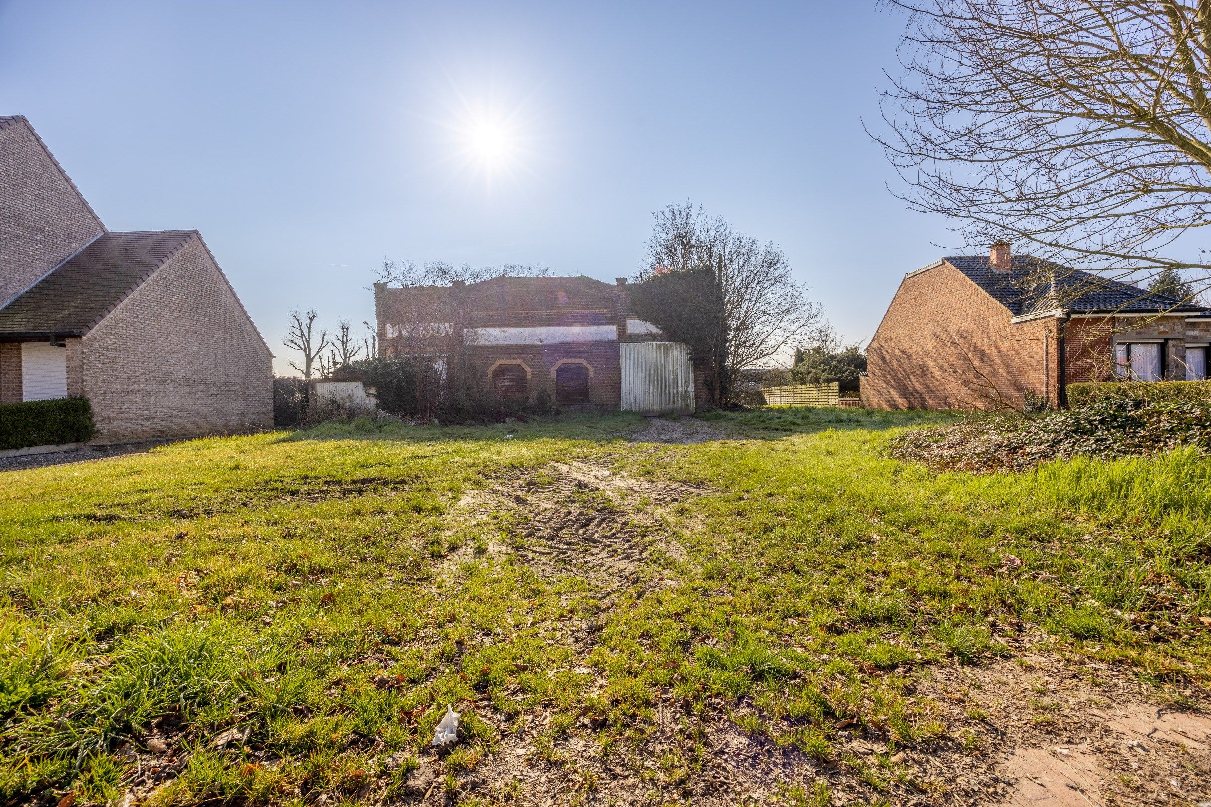PROJECTGROND OP 1368 M² foto 3