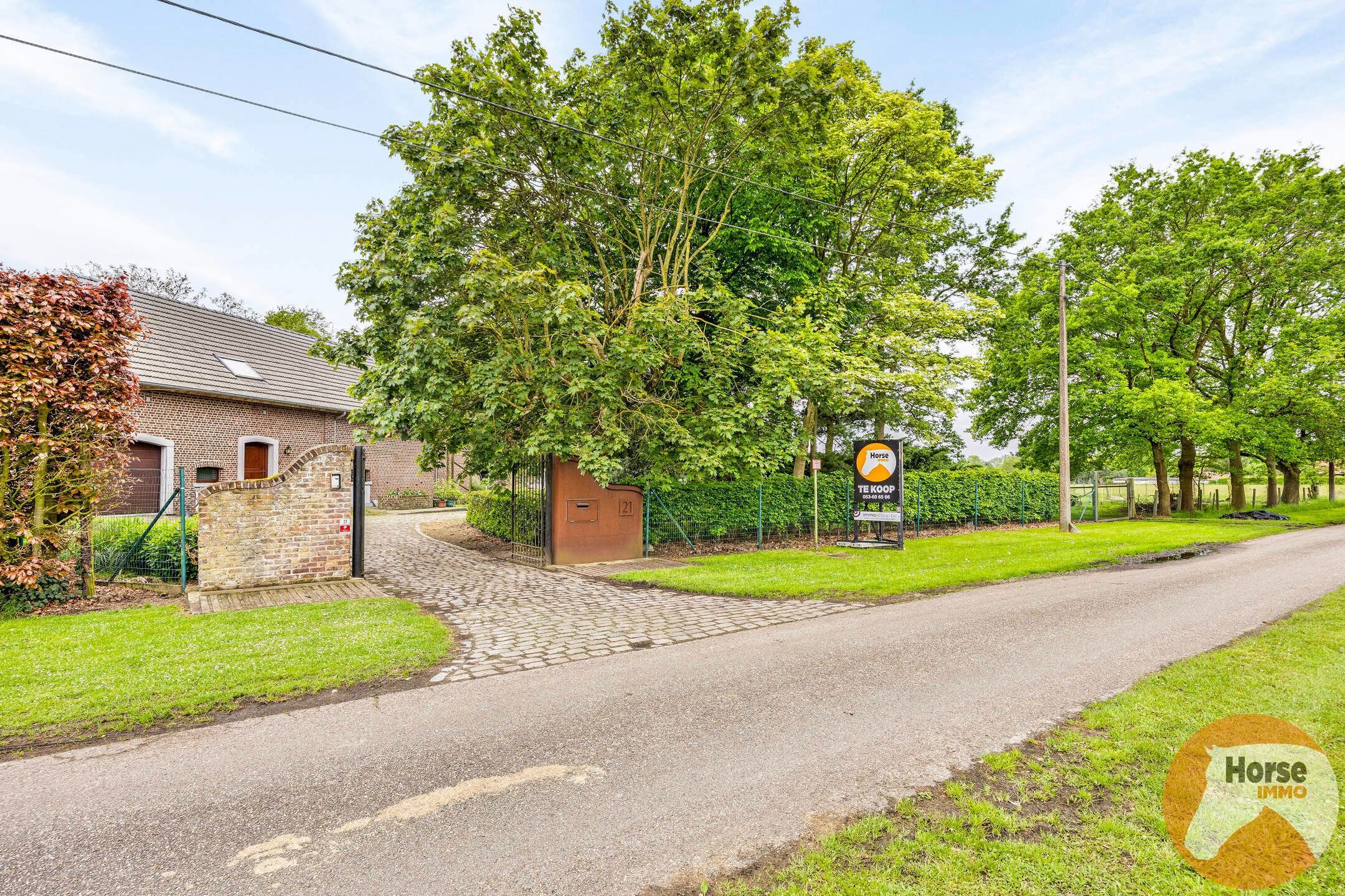 KERMT - Statige hoeve met bijgebouwen op 2ha13  foto 5