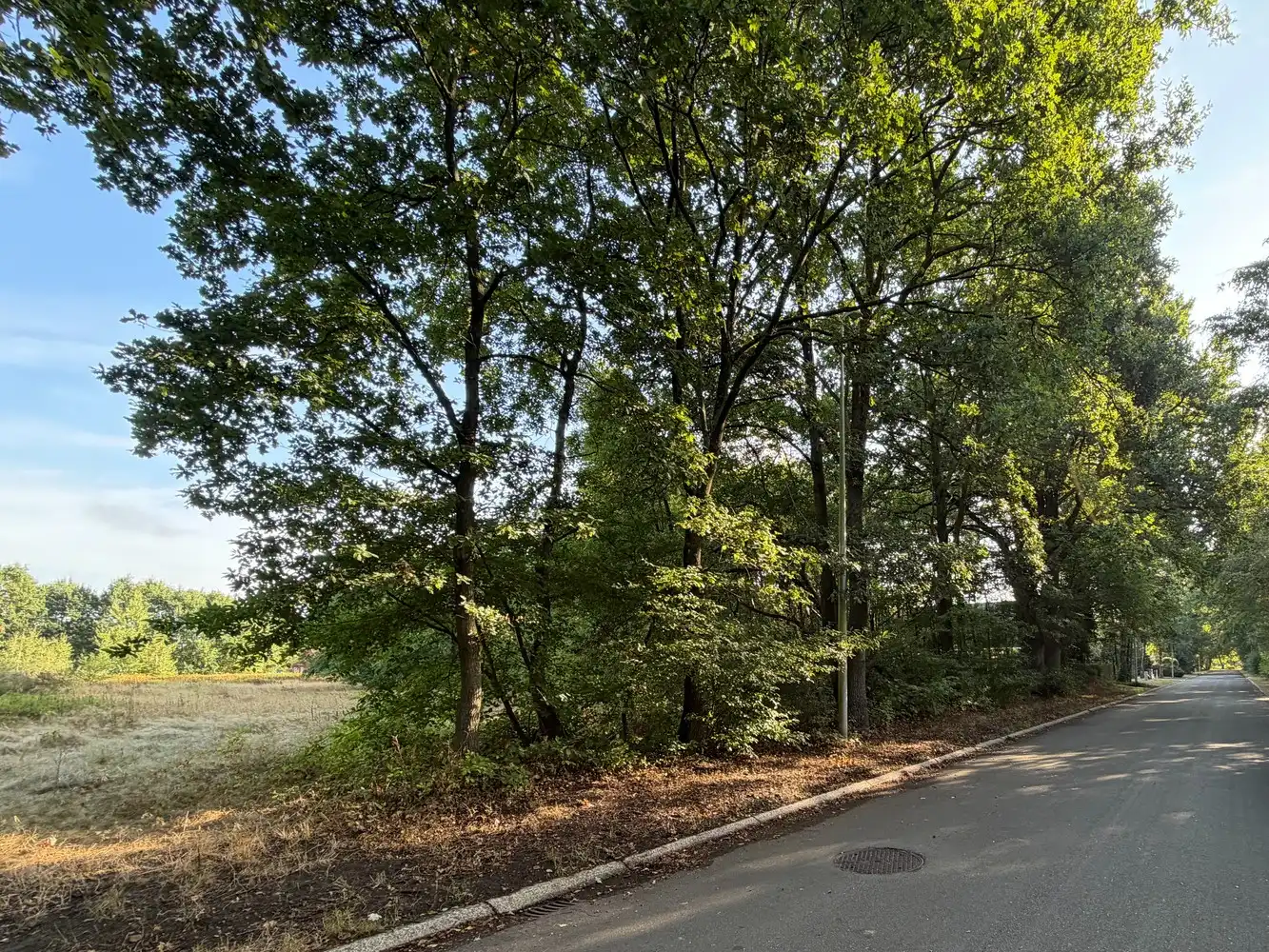 Genk, Kneippstraat 28: Ruime en uitstekend gelegen bouwgrond van 10a 81ca in een natuurrijke omgeving. foto 3