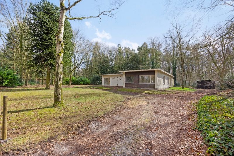 Renovatieproject in de Bossen van Lembeke – Een unieke kans! foto 3