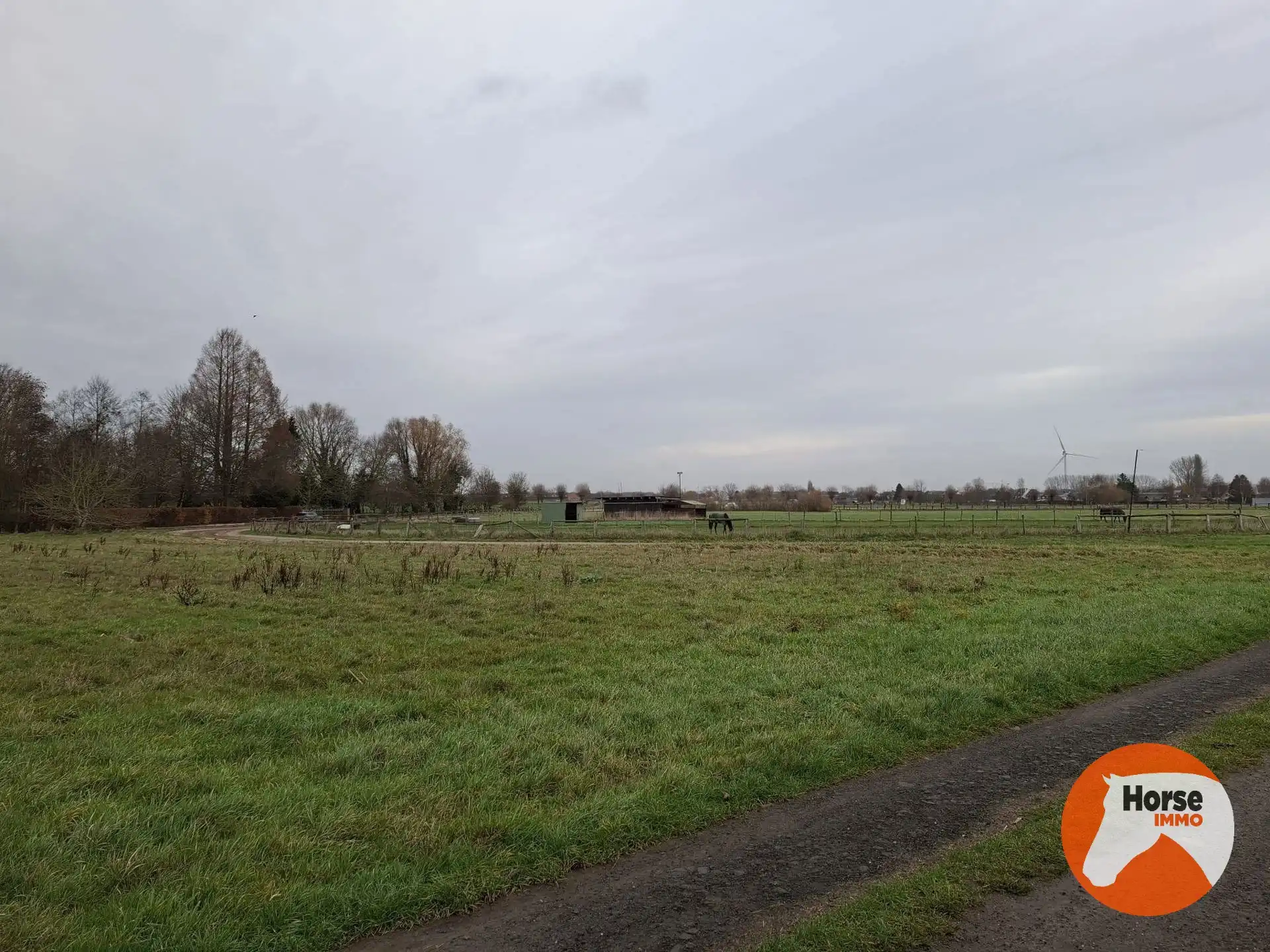 HAALTERT - Weide van +- 55a  foto 4