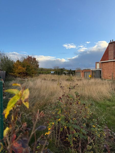 Grond te koop Halensebaan zn - 3473 Waanrode