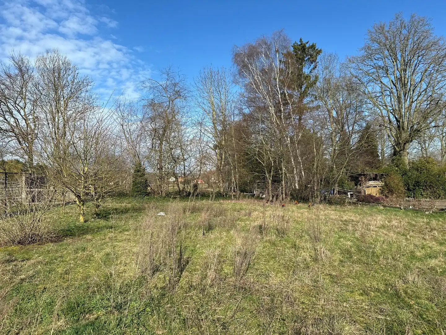 Nieuwbouwwoning, open bebouwing, 3 slpk, 14a 53ca, rustig gelegen te Kermt foto 14