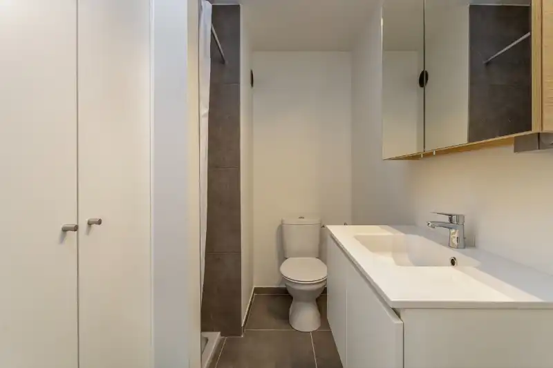 recent gerenoveerd 1-slaapkamer appartement te Eeklo foto 5