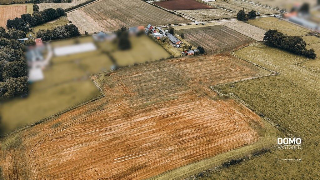 Ruime woning met stallingen en een prachtig groen uitzicht. foto 29