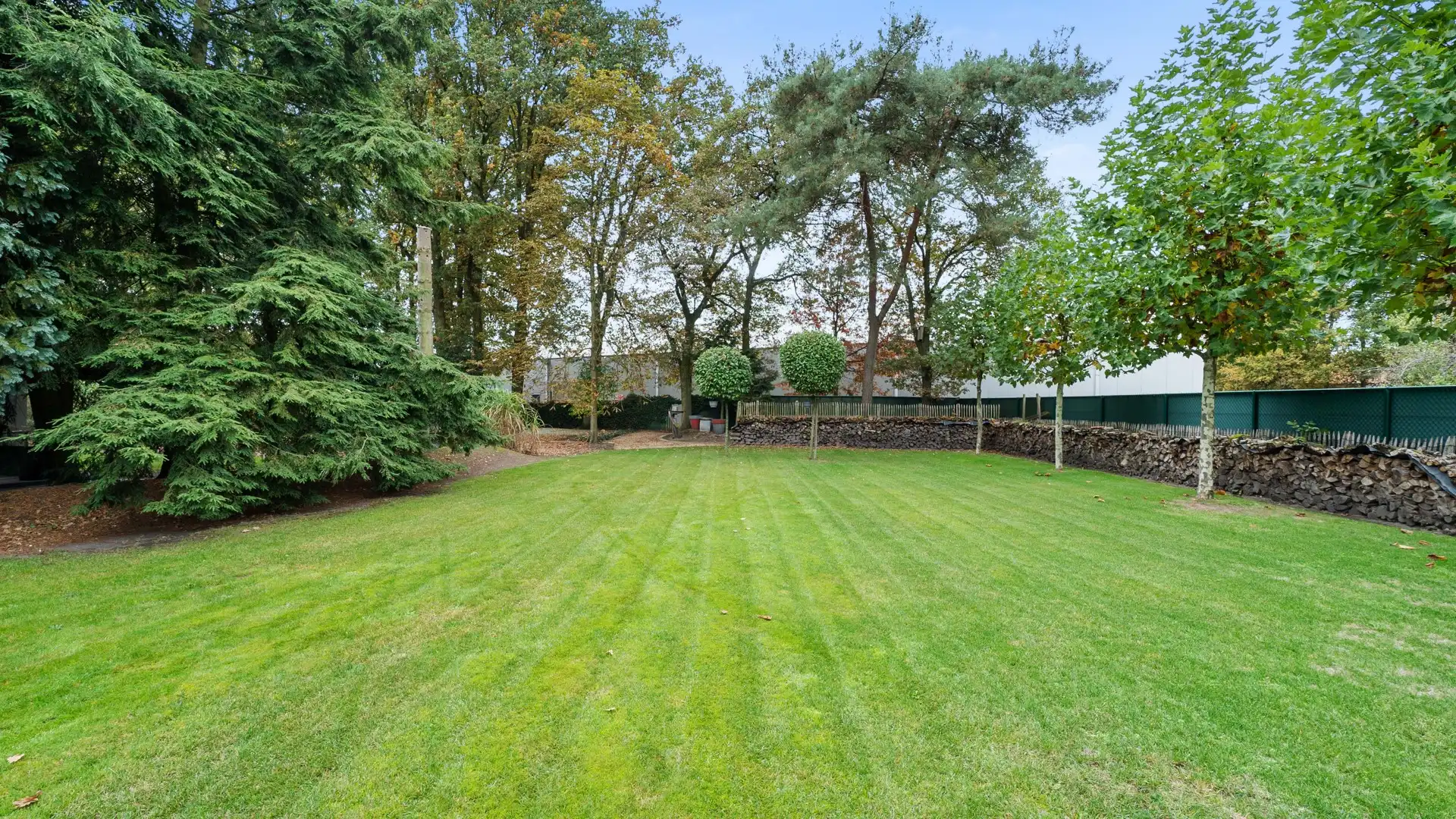 Open bebouwing met 3 slpkrs op TOP locatie in Opglabbeek foto 10