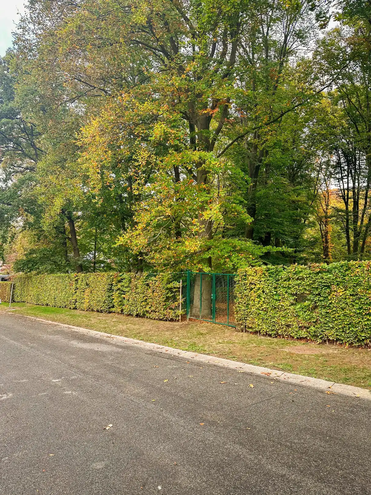 Prachtig perceel op unieke locatie! foto 2