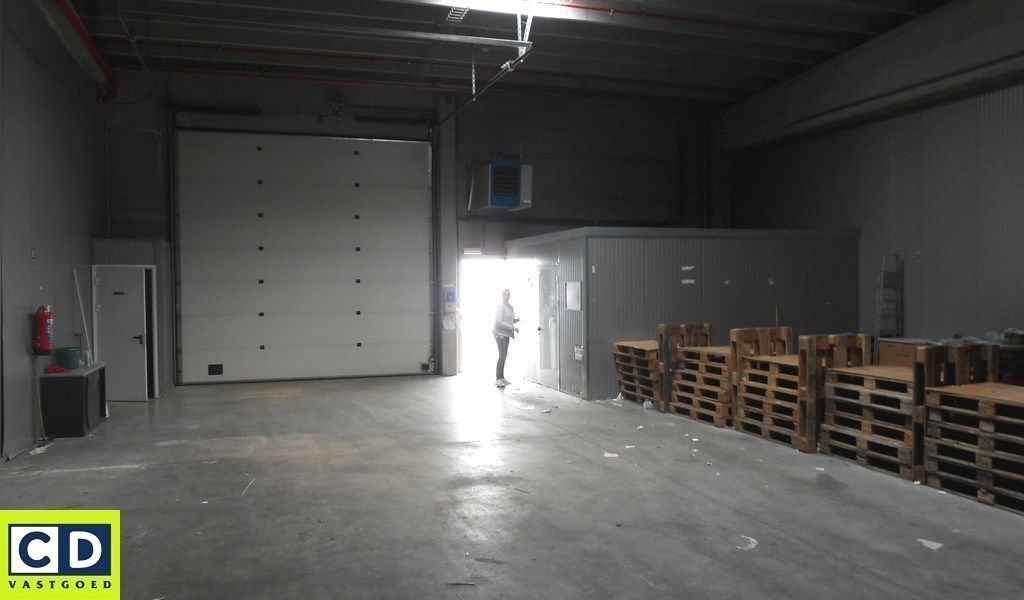 Magazijn te huur in GRUPO Bedrijvencentrum in Lokeren foto 5
