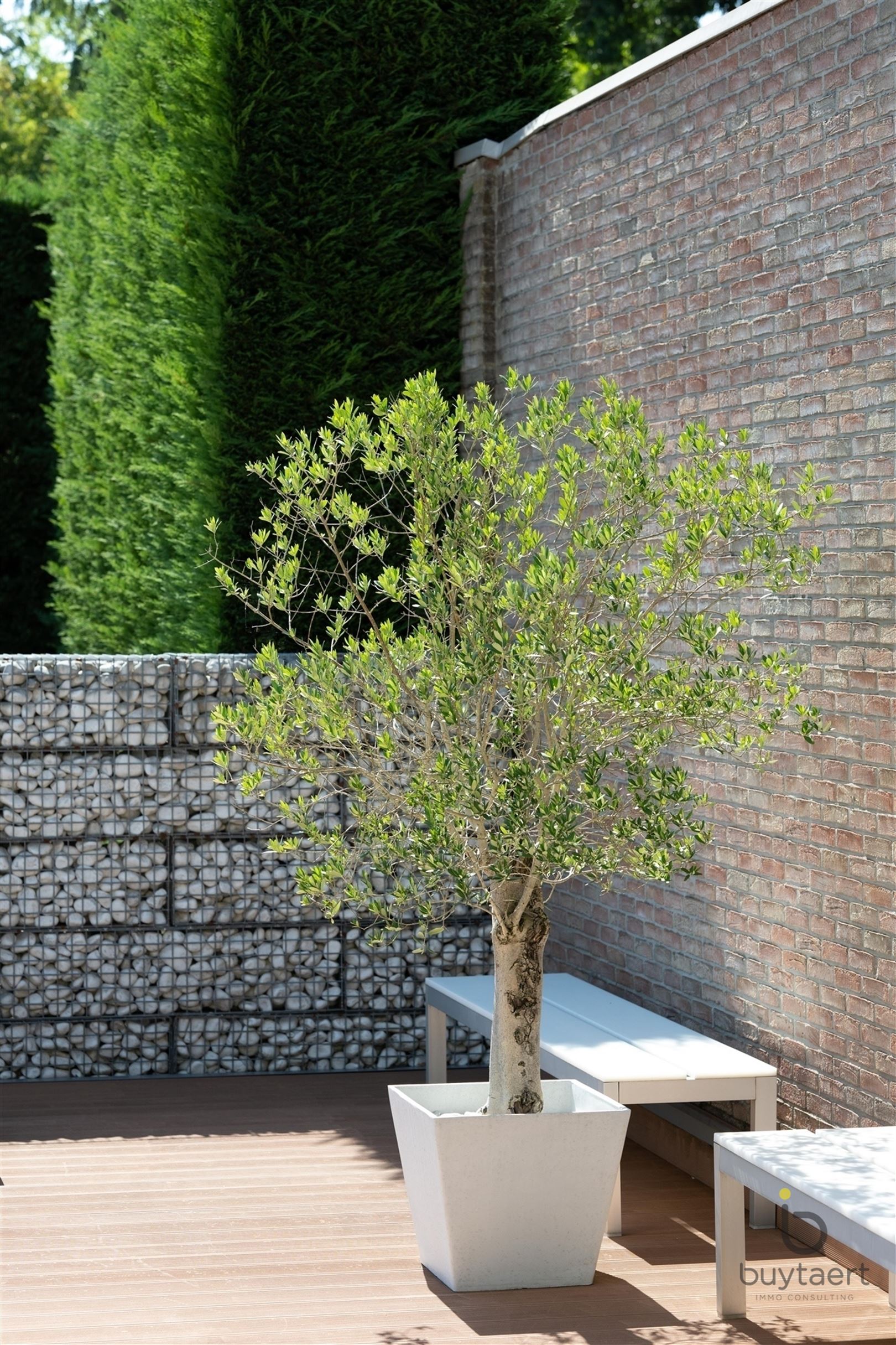 Wonen én werken in luxe familiewoning in begeerde Vriesdonkwijk foto 64