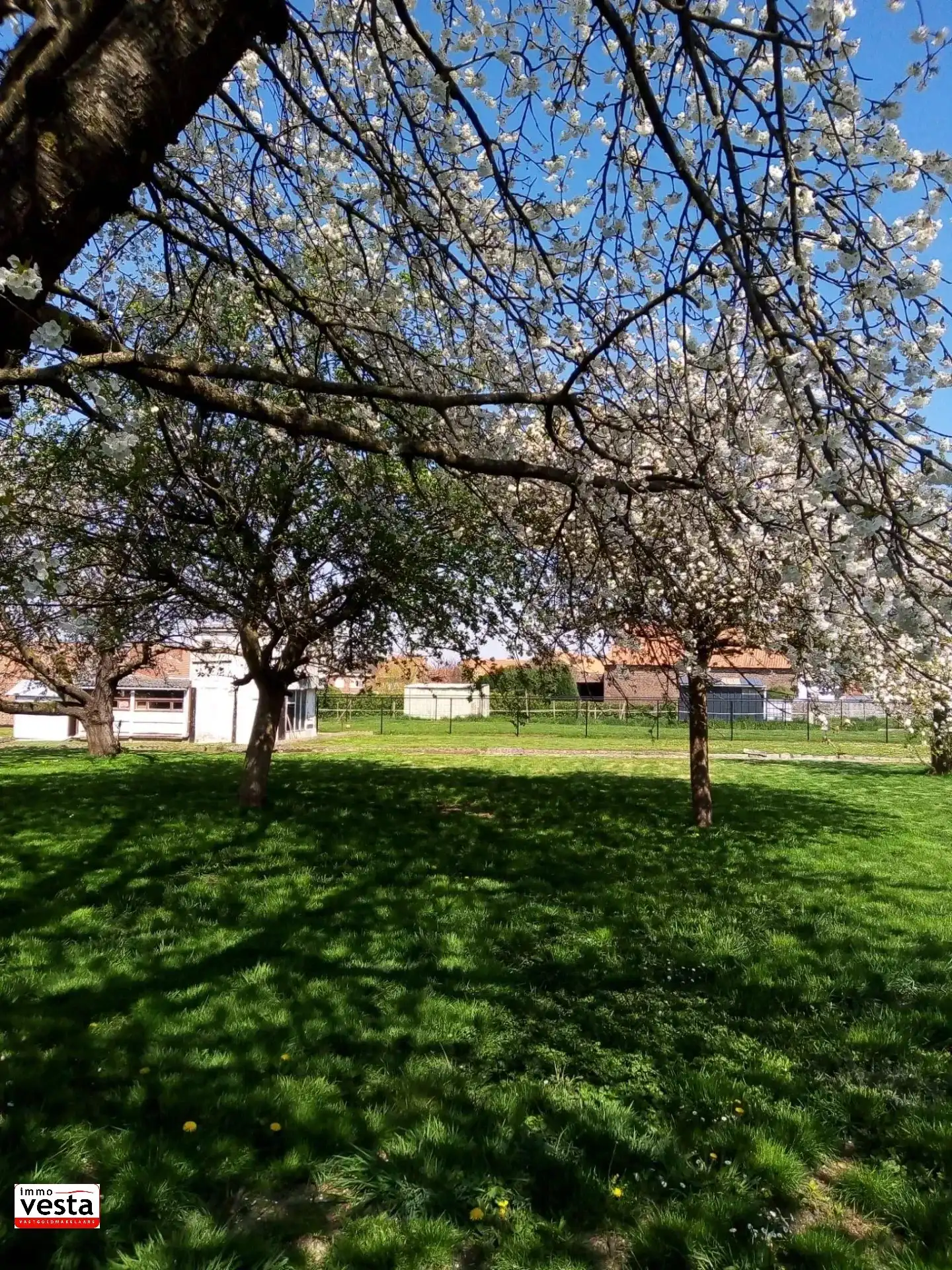 Huis te koop foto 24