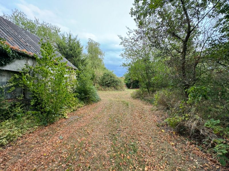 Ruime langgevelhoeve op 29a13 met veel potentieel! foto 7