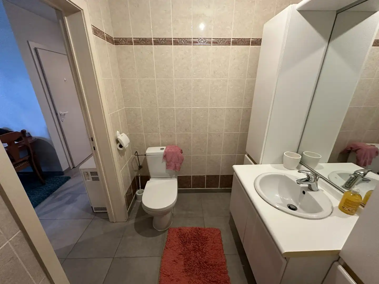 Appartement met 1 slaapkamer en terras, Ruddervoorde foto 11