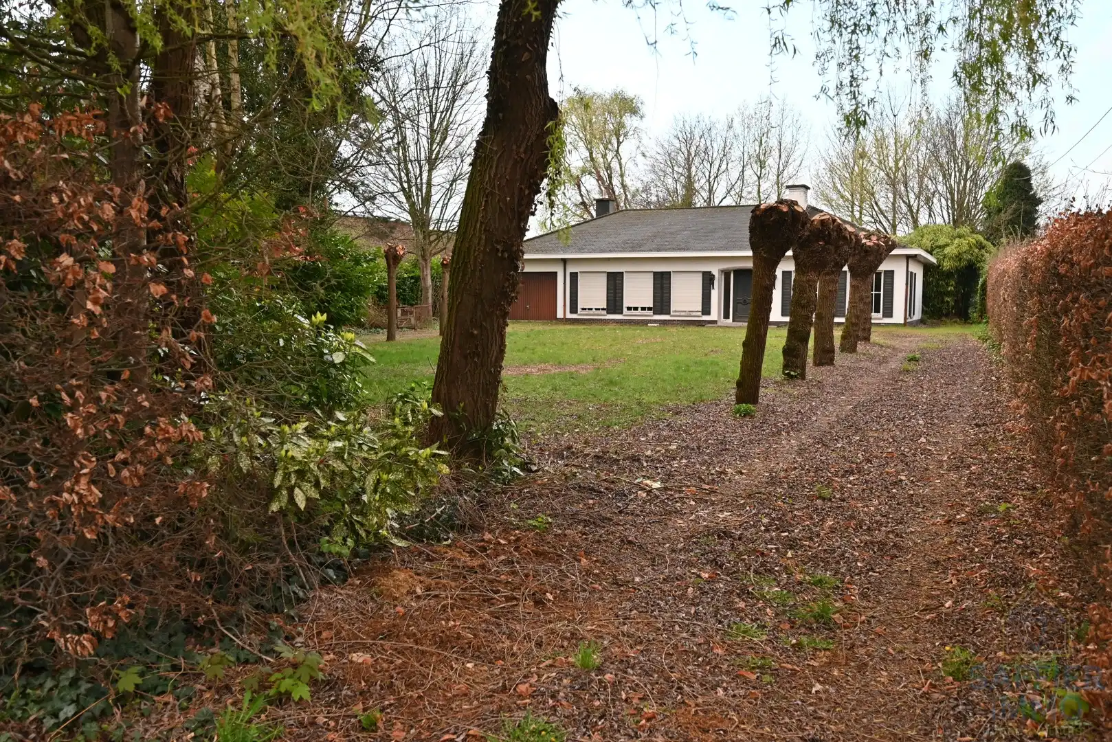 Grond te koop foto {{pictureIndex}}