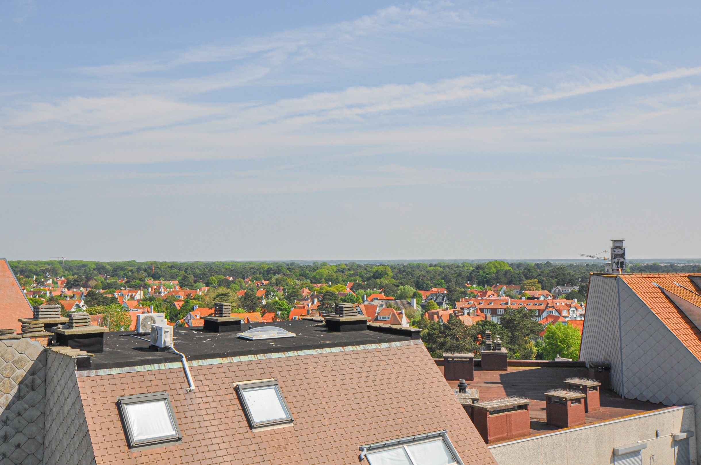 Volledig gerenoveerd dakappartement met een terras van ongeveer 45 m². foto 6