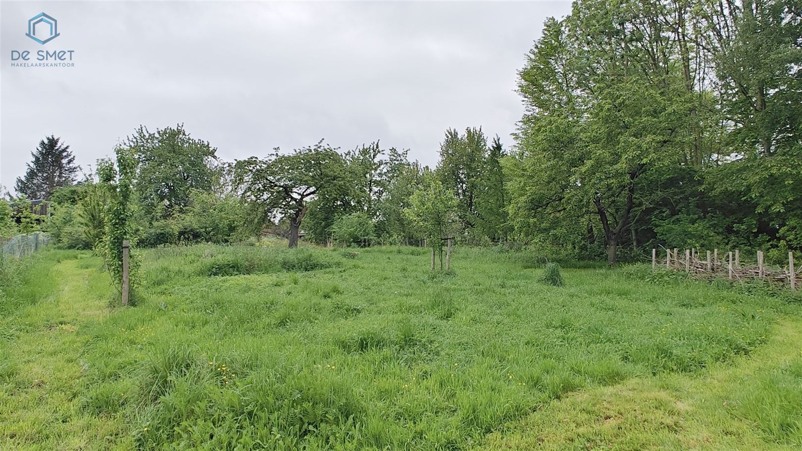 De verborgen oase van rust in het Pajottenland  foto 20