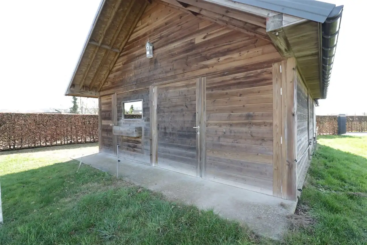 groene omgeving,  klein weiland, zichtbaarheid foto 6