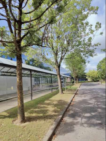 Diestsesteenweg 692- A, 3010 Kessel Lo foto 15