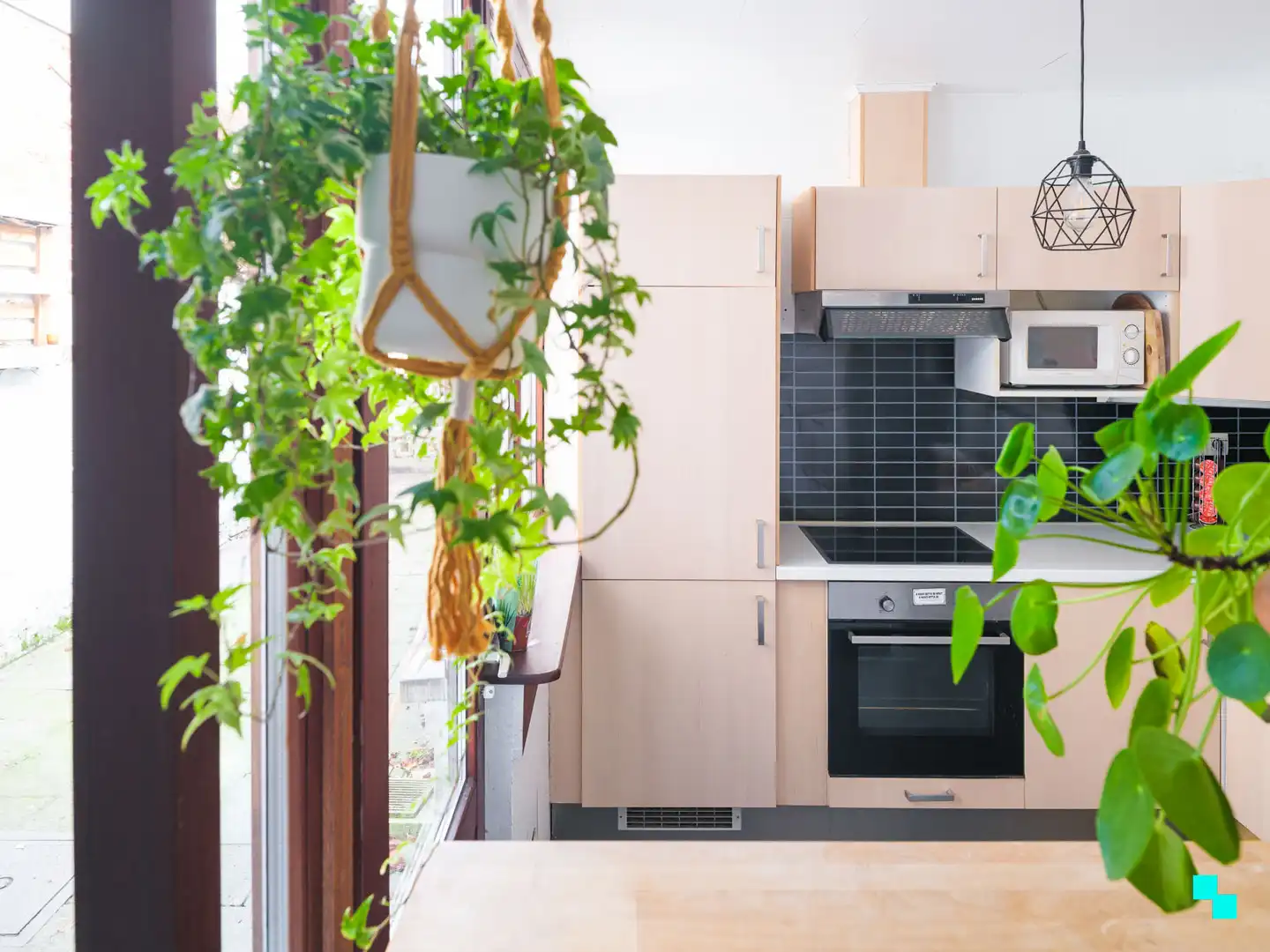 Charmante op te frissen woning met drie kamers en zonnige tuin foto 9