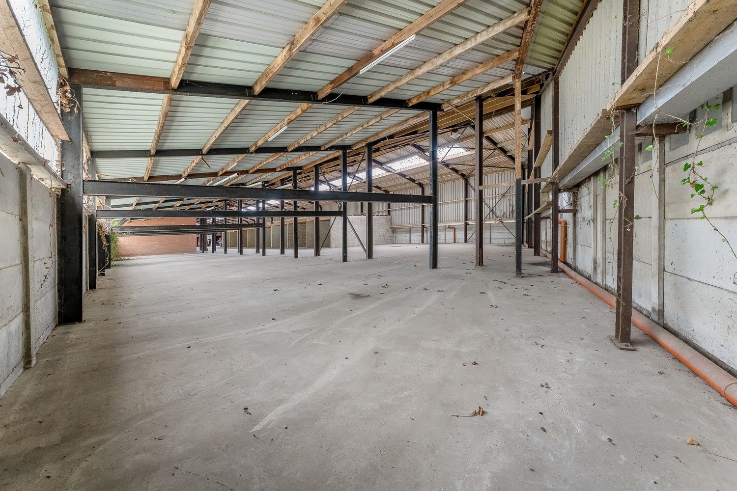 Woonst met zeer ruim magazijn van 1600 m² op een uitstekende locatie foto 24