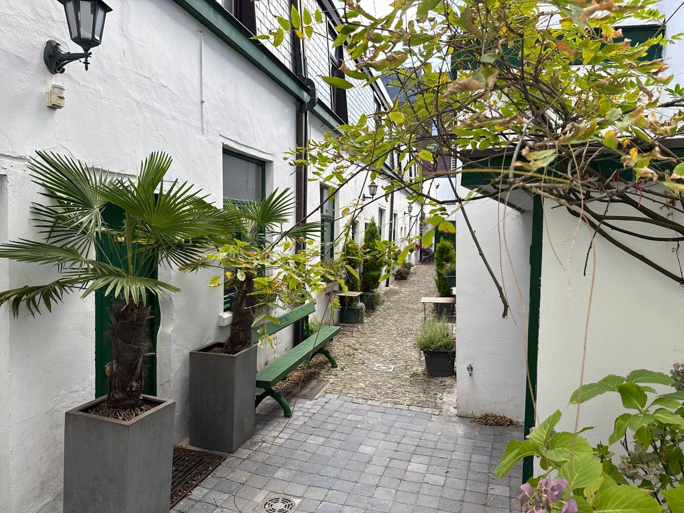 Uniek tiny house in historisch pand – Paardekensgang, Antwerpen foto {{pictureIndex}}