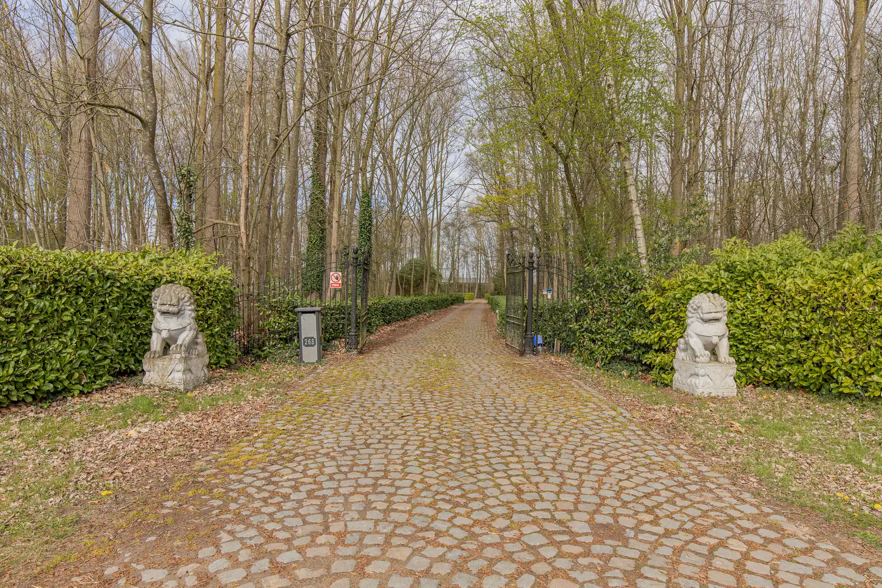 Woning op unieke ligging van 5 hectare foto {{pictureIndex}}