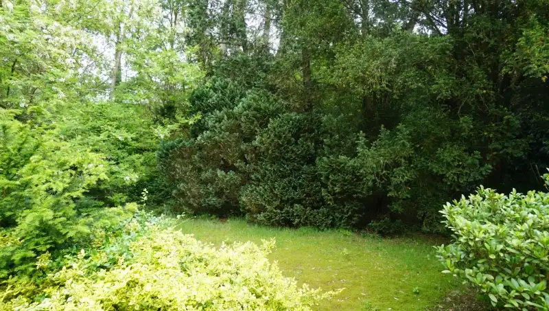 Woning van 155m² in open bebouwing op 10 are 30ca foto 23