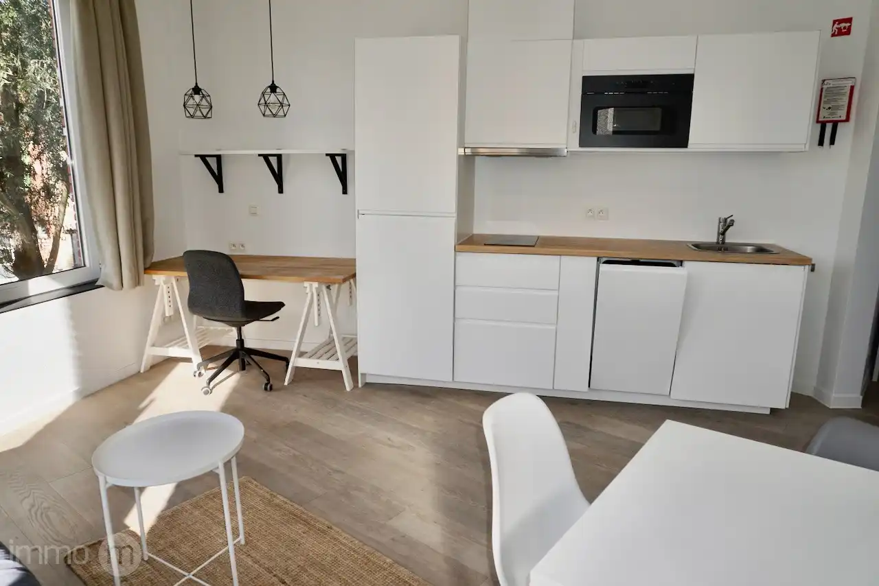 Gemeubelde studio 32m2 met aparte slaapkamer en open uitzicht – Tervuursevest Leuven foto 3