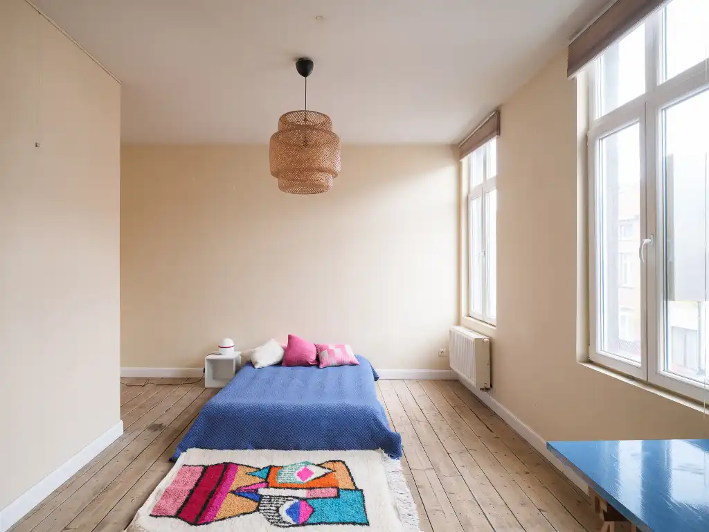 Lichtrijke en instapklare woning met buitenruimte nabij Gent Centrum foto 3