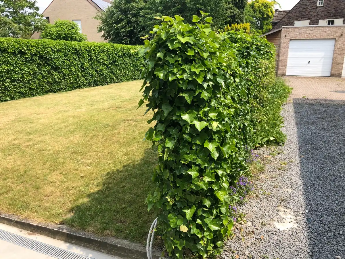 3-slpk-BURGERWONING + tuin & garage foto 6