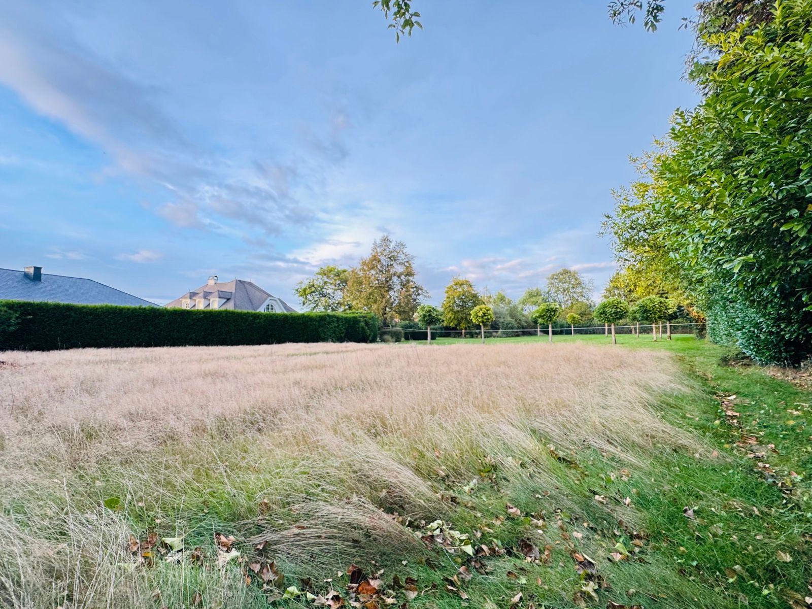 Bouwgrond van 861m² voor open bebouwing TOPLIGGING foto 6